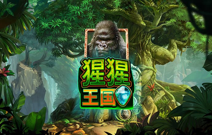 火博体育官方网站app下载